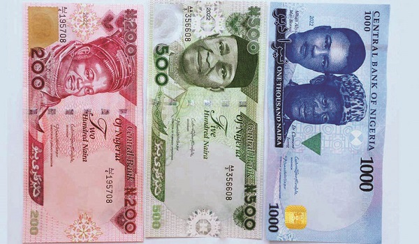 Economic Implications of the Introduction of the New Naira Notes in Nigeria